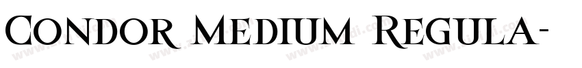 Condor Medium Regula字体转换